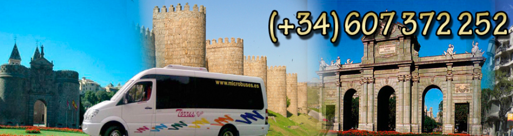 Alquiler de minibuses en Madrid